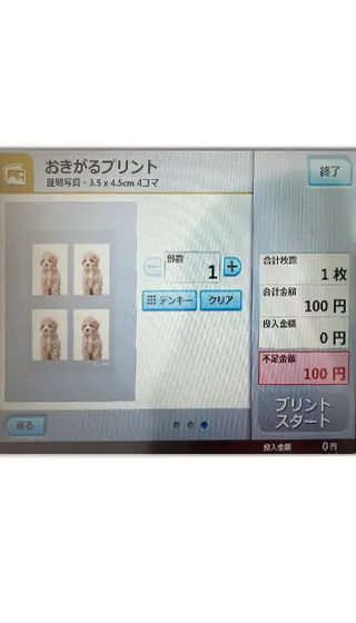 ミニストップ アプリ 証明写真 印刷 インターネット