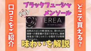 【8/4発売】テリアブラックフューシャメンソールの味わいを解説