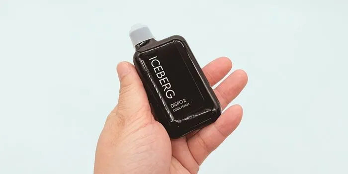 ICEBERG Dispo2・クールピーチの商品写真