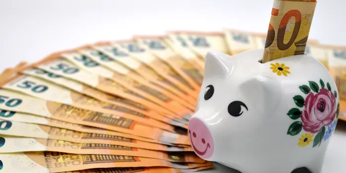 お金とブタの貯金箱